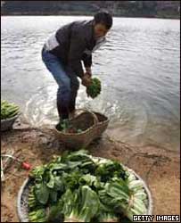 鄱阳湖洗菜农民