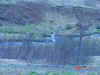 DSC01966.JPG (614067 bytes)