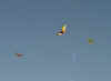 3kites.jpg (82920 bytes)