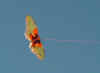bee.jpg (98996 bytes)