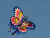 bluebutterfly.jpg (138953 bytes)