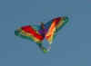 butterfly1.jpg (90263 bytes)