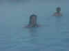 DSC01099.JPG (518985 bytes)