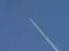 DSC01129.JPG (512891 bytes)